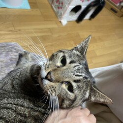 「雷への手紙」サムネイル2