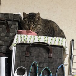 「雷への手紙」サムネイル3