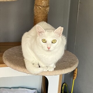 甘えん坊の女の子です