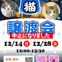 【開催中止】ほごねこ東京譲渡会＠駒込