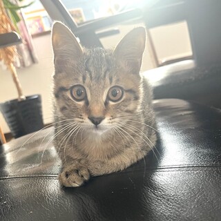 甘えん坊の元気っ子です