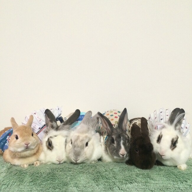 みみちゃんままのカバー写真