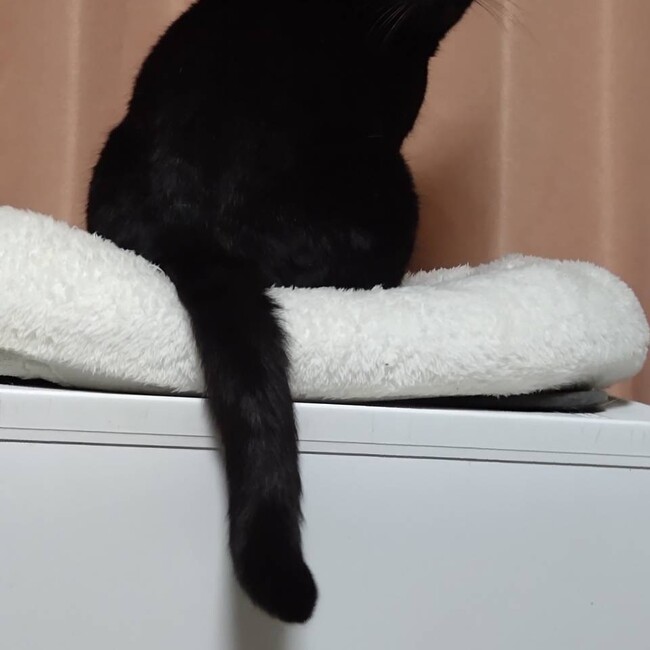 hiroro_6のカバー写真