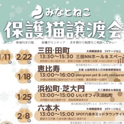 みなとねこ保護猫譲渡会＠三田NNホール＆スペース