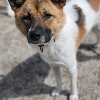 せい君(まあくんハウス)