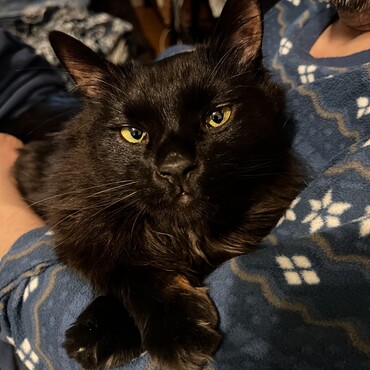 抱っこ大好きです