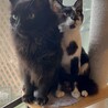 弟と仲良し