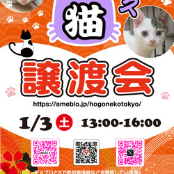 ほごねこ東京譲渡会＠尾久