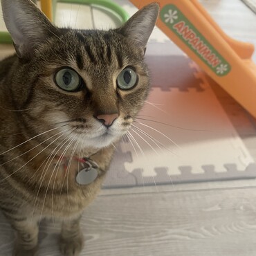 の写真