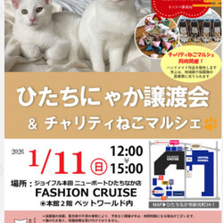 ひたちにゃか譲渡会