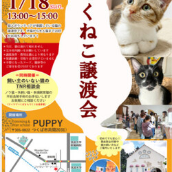 つくねこ譲渡会