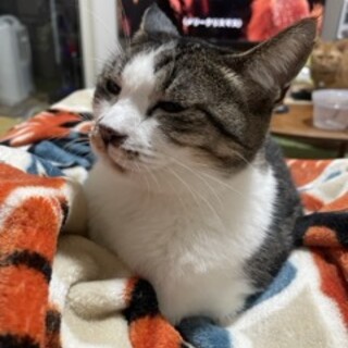 甘えん坊さんです