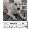 ユリアちゃん サムネイル5