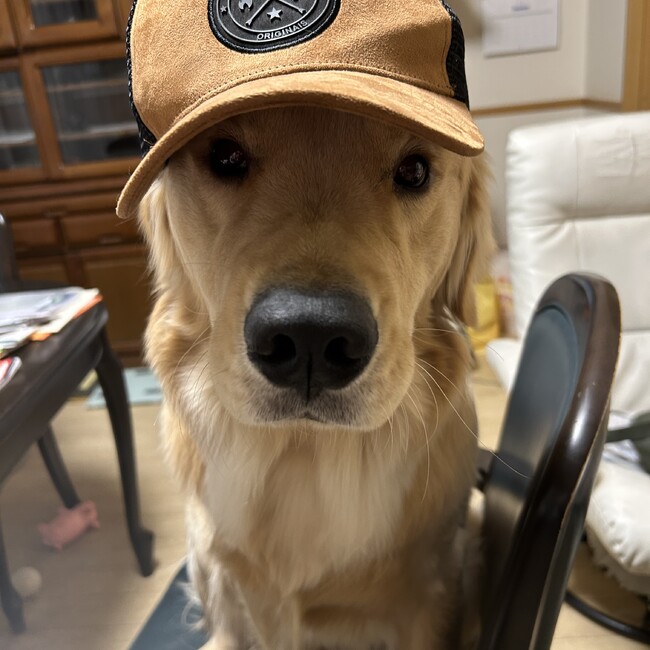 りょうしゅうのカバー写真