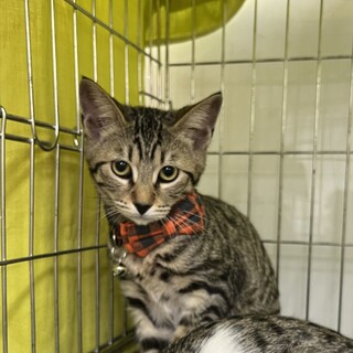 �����o�����������