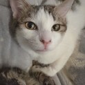 素敵な家族が見つかりました☆ルアン君