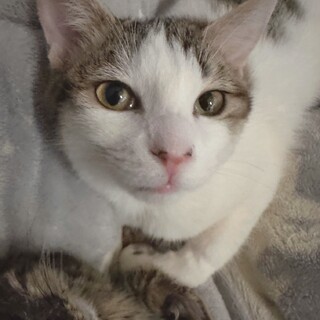 素敵な家族が見つかりました☆ルアン君