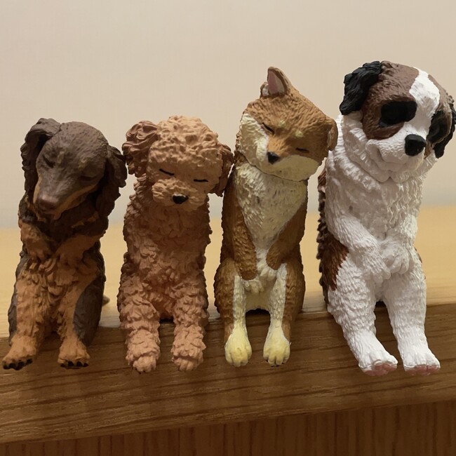 Haurudemunのカバー写真