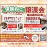 里親決定★チワワちゃん サムネイル7
