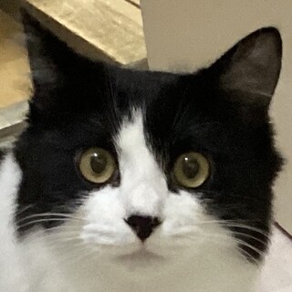 女の子らしくて甘えんぼ♡7ヶ月齢