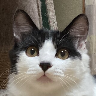 お茶目で陽気な男の子♡7ヶ月齢