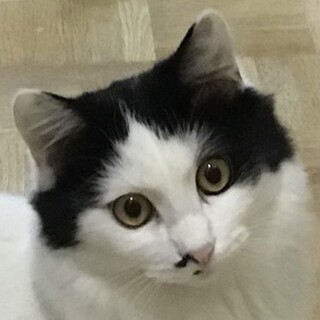 控えめな甘えんぼ♡7ヶ月齢