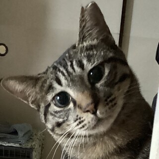 キュ～ト＆お笑い系！天然女子約１歳