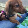 カニンヘン サムネイル2