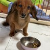 カニンヘン サムネイル3