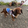 カニンヘン サムネイル4