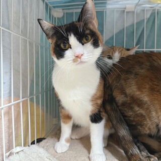 素敵なご家族と出会えました♡このみ