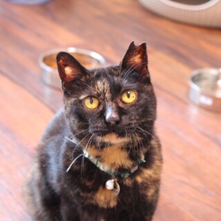 怖がりだけど、甘えん坊