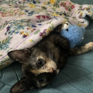 サビ　女の子　10ヶ月　まる子