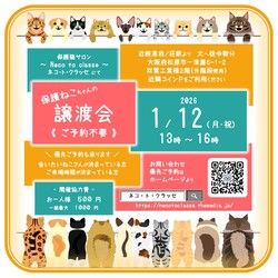 ネコトクラッセ譲渡会