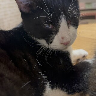 ちょーー活発、ふみふみ甘えんぼ男子☆ほたる