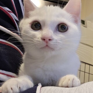 1/17稲毛海岸ෆ⃛仲良し兄妹ෆ⃛とろくん