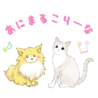 あにまるこりーな（保護活動者）