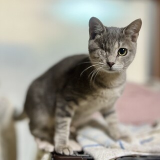 �����E�B���N�̂��P���܁B�߂߂����ł�