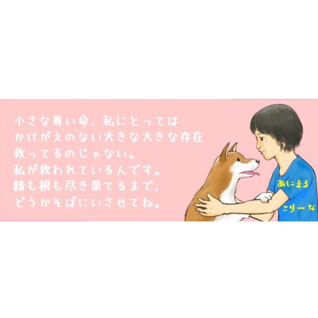 あにまるこりーなのカバー写真