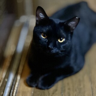 5�C�̎q����������Ă��A�͂������ł�