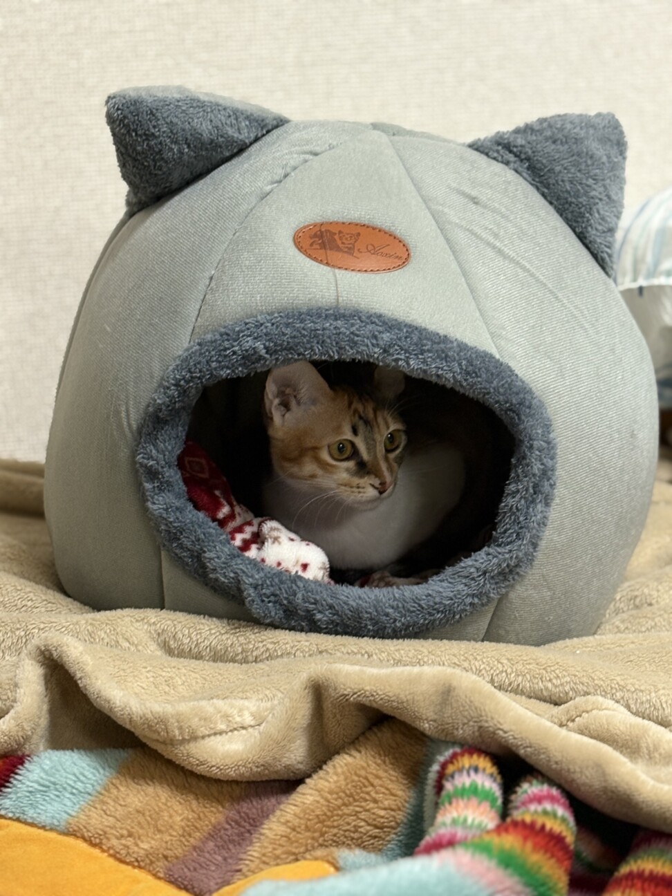 ビジュアル・愛嬌抜群！みんなのプリンセス「ぷりん」 サムネイル2