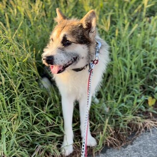 イケオジ目指し中のぽん太さん！