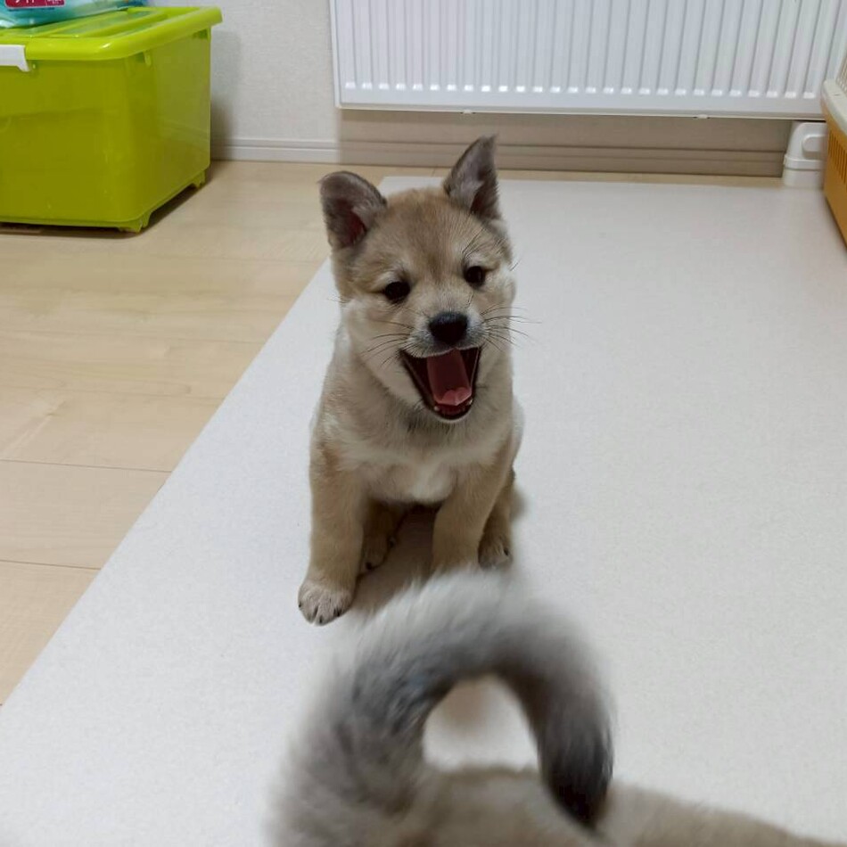 板垣　ナナのカバー写真