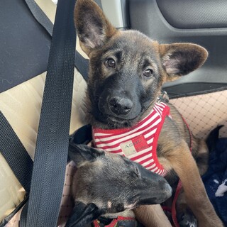 6ヶ月くらい（仮名）ショウ