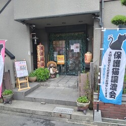 第36回 平野ろまねこ譲渡会 サムネイル3