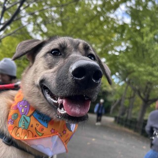 “きろろ” 女の子