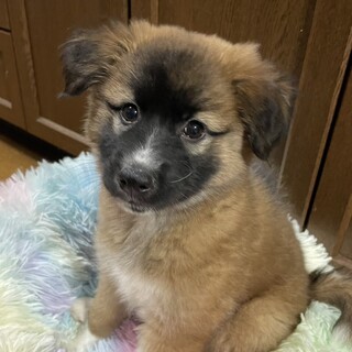 人慣れ◎リースちゃん