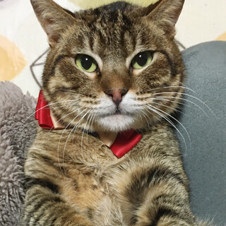 ���������I�N������D�����a�m�w�q�X�C�x�R��