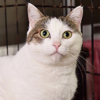 まりな嬢。甘えてくれた秘蔵っ子ちゃん。