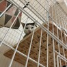ぱっつん模様がかわいいぱっつんくん サムネイル2